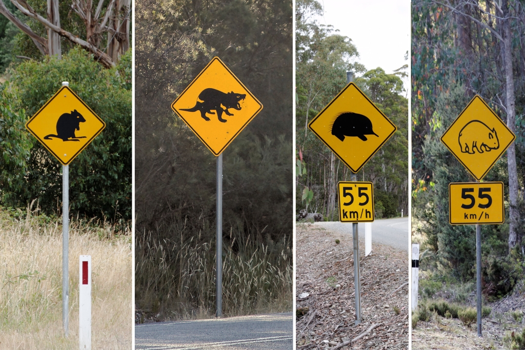 17 - Mt Field NP (12).jpg